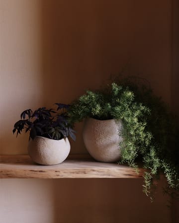 Plantas γλάστρα 17 εκ - Ivory - Audo Copenhagen