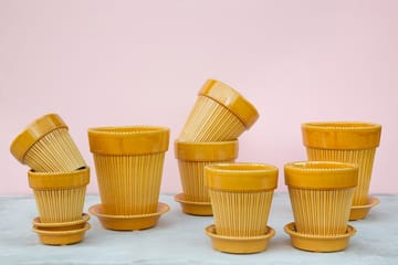 Γλάστρα Simona γλασέ Ø12 cm - Κίτρινο - Bergs Potter