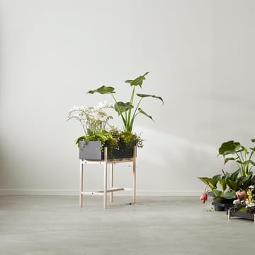 Botanic στήριγμα για λουλούδια - Μαύρο-δεσποτάκι - Design House Stockholm