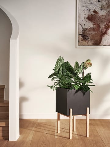 Botanic γλάστρα με πόδια - Μαύρο-δεσποτάκι - Design House Stockholm