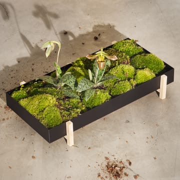 Botanic Flower Tray κουτί για λουλούδια - μαύρο - Design House Stockholm