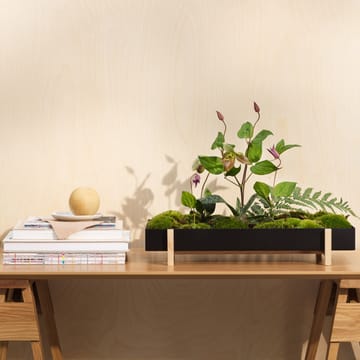 Botanic Flower Tray κουτί για λουλούδια - μαύρο - Design House Stockholm