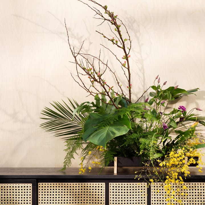 Botanic Flower Tray κουτί για λουλούδια - μαύρο - Design House Stockholm