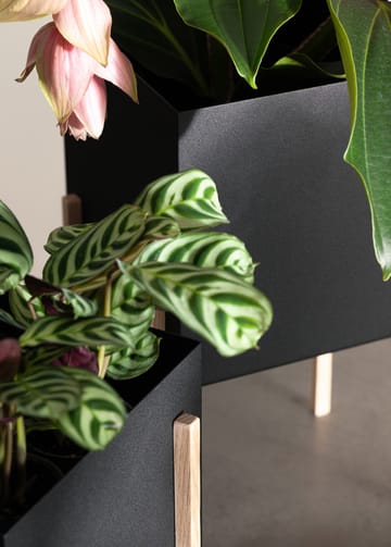 Botanic pot γλάστρα - Μαύρο-δεσποτάκι - Design House Stockholm