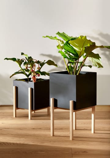 Botanic pot γλάστρα - Μαύρο-δεσποτάκι - Design House Stockholm