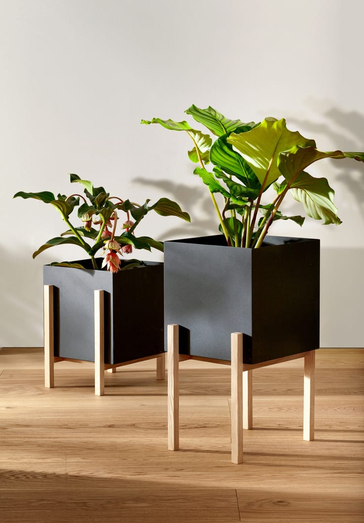 Botanic pot γλάστρα - Μαύρο-δεσποτάκι - Design House Stockholm