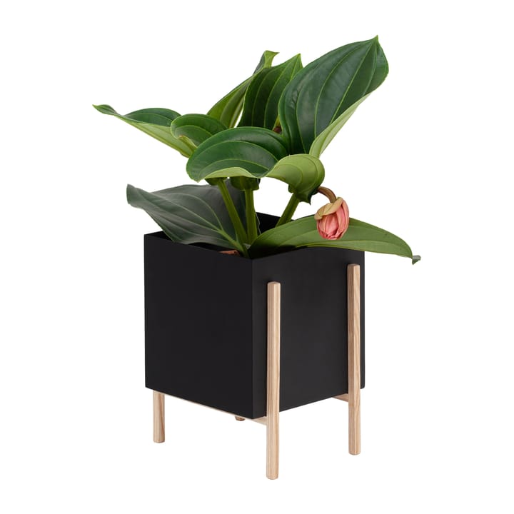 Botanic pot γλάστρα, Μαύρο-δεσποτάκι Design House Stockholm