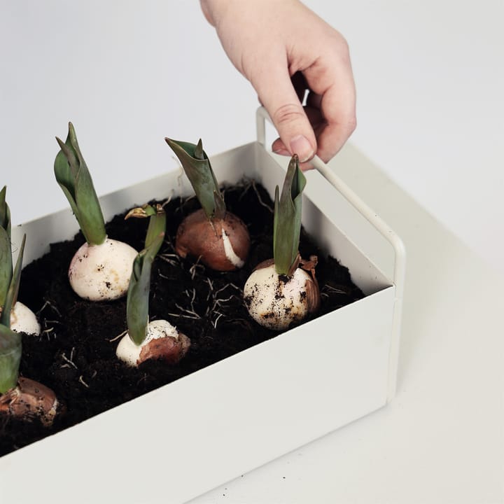 Ferm Living plant μικρό κουτί, ανοιχτό γκρι ferm LIVING