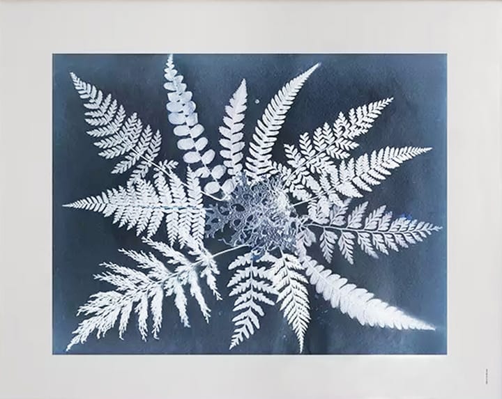 Fern star αφίσα - 40x50 cm - Fine Little Day