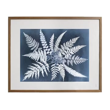 Fern star αφίσα - 40x50 cm - Fine Little Day