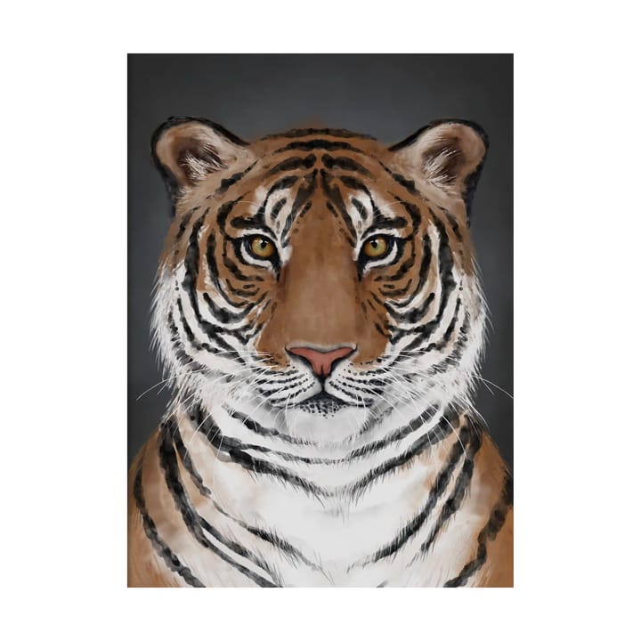 Tiger αφίσα - 30x40 εκ. - Kunskapstavlan®