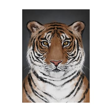 Tiger αφίσα - 50x70 εκ. - Kunskapstavlan®