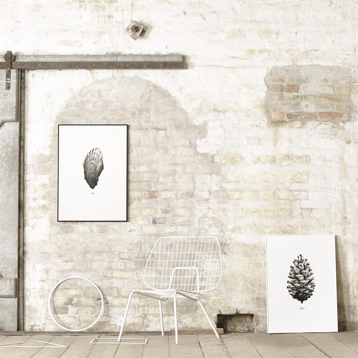 1:1 Pine cone αφίσα, λευκό, 50x70 cm Paper Collective