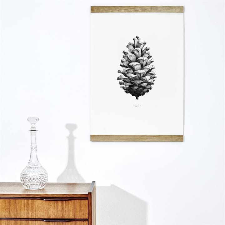 1:1 Pine cone αφίσα, λευκό, 50x70 cm Paper Collective