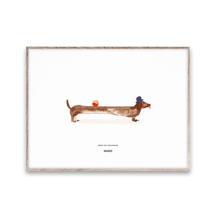 Doug the Dachshund αφίσα - 30x40 cm - Paper Collective