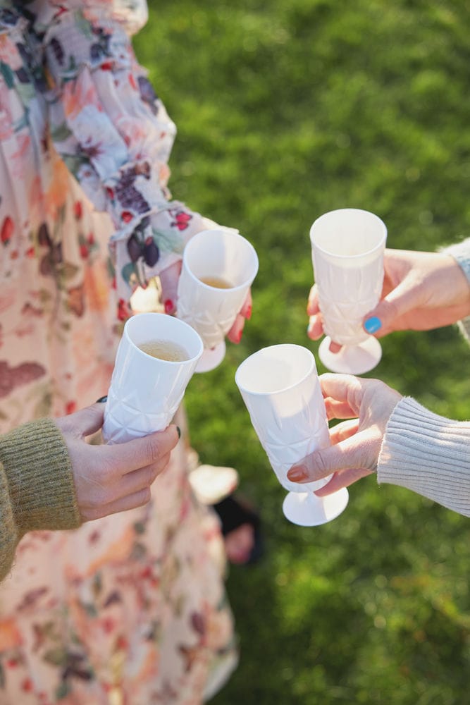 Picnic ποτήρι σαμπάνιας Συσκευασία 4 τεμαχίων - Λευκό - Sagaform