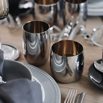 Foster ποτήρι ποτού 20 cl - ανοξείδωτο ατσάλι - Stelton