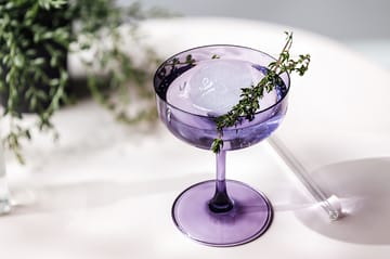 Like ποτήρι σαμπάνιας coupe 10 cl 2 τεμάχια - Lavender - Villeroy & Boch