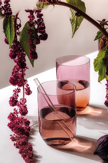 Like μακρύ drink ποτήρι 38.5 cl 2 τεμάχια - Grape - Villeroy & Boch